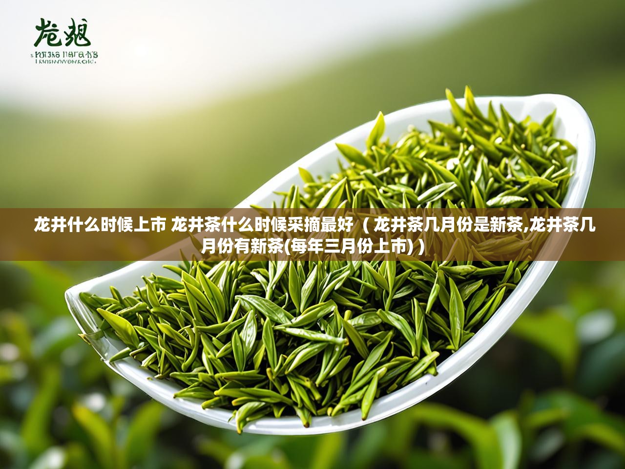  龙井什么时候上市 龙井茶什么时候采摘最好  ( 龙井茶几月份是新茶,龙井茶几月份有新茶(每年三月份上市) )