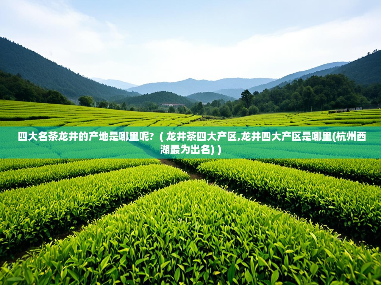  四大名茶龙井的产地是哪里呢?  ( 龙井茶四大产区,龙井四大产区是哪里(杭州西湖最为出名) )