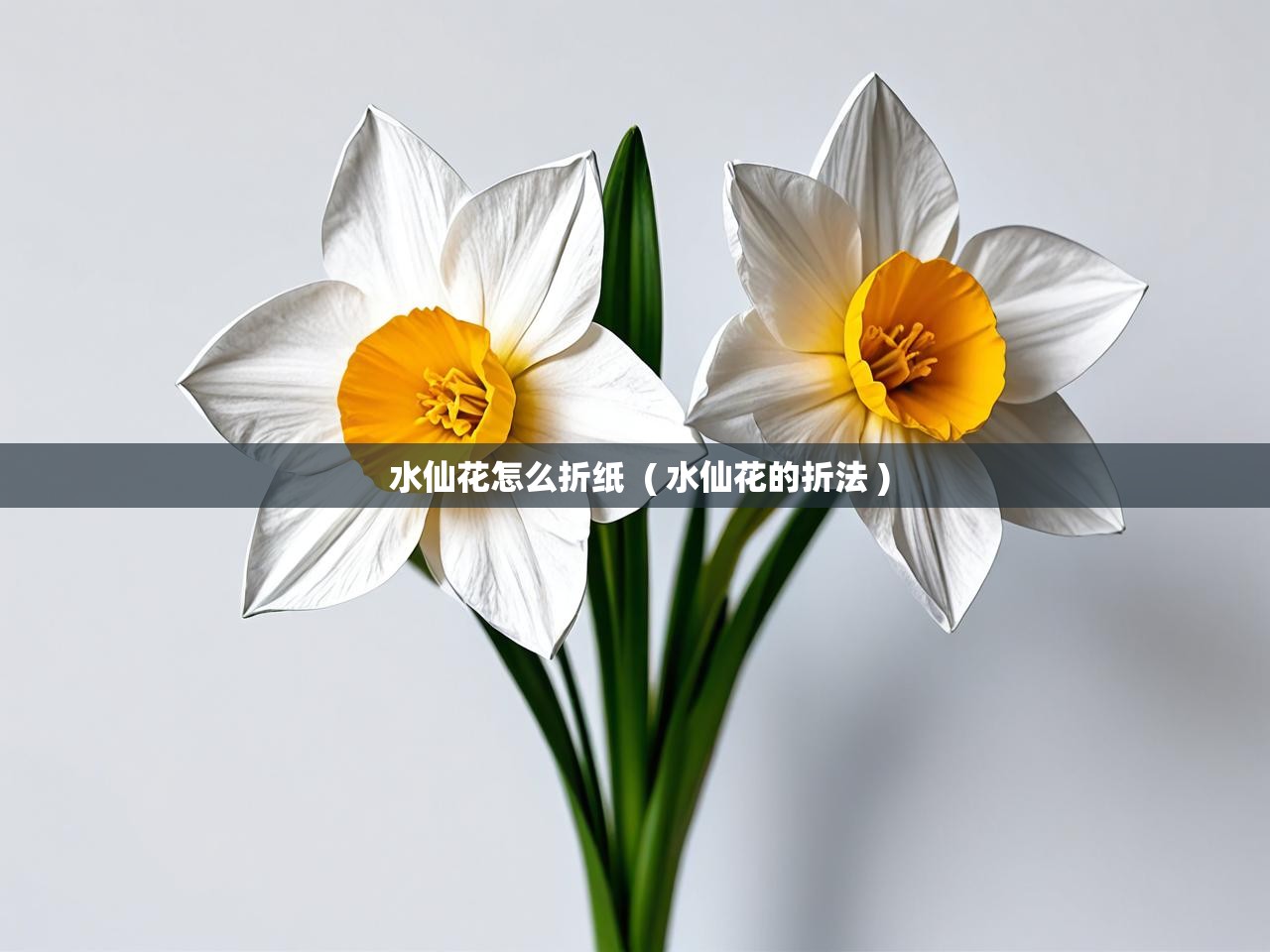  水仙花怎么折纸  ( 水仙花的折法 )