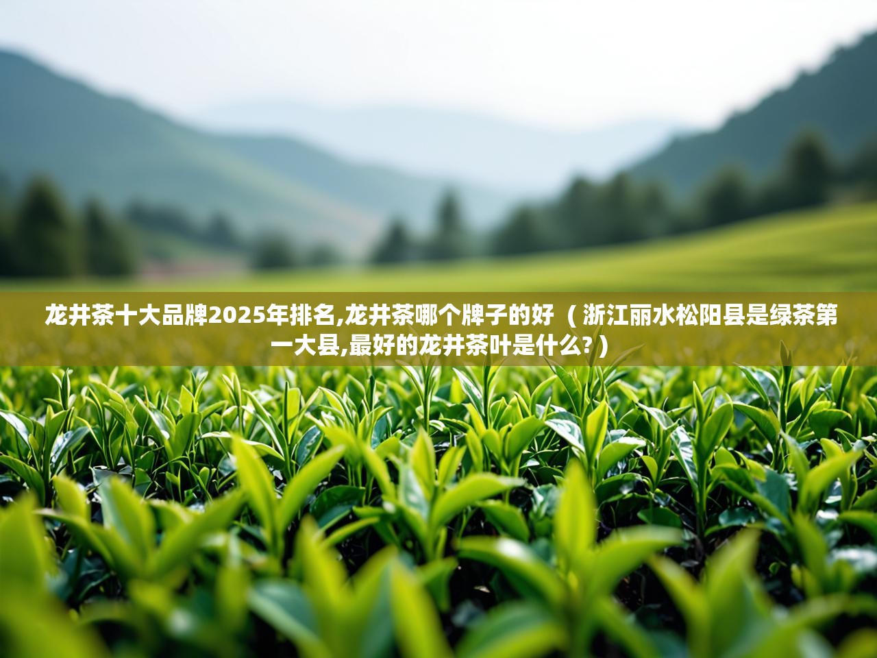  龙井茶十大品牌2025年排名,龙井茶哪个牌子的好  ( 浙江丽水松阳县是绿茶第一大县,最好的龙井茶叶是什么? )