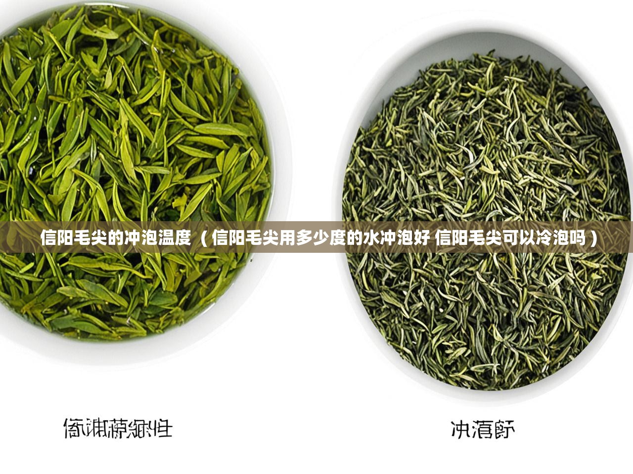  信阳毛尖的冲泡温度  ( 信阳毛尖用多少度的水冲泡好 信阳毛尖可以冷泡吗 )