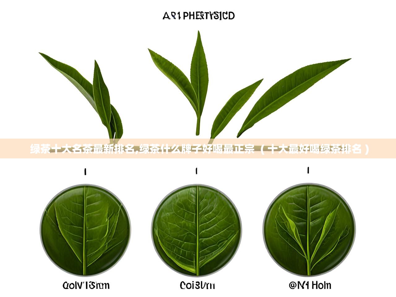  绿茶十大名茶最新排名,绿茶什么牌子好喝最正宗  ( 十大最好喝绿茶排名 )