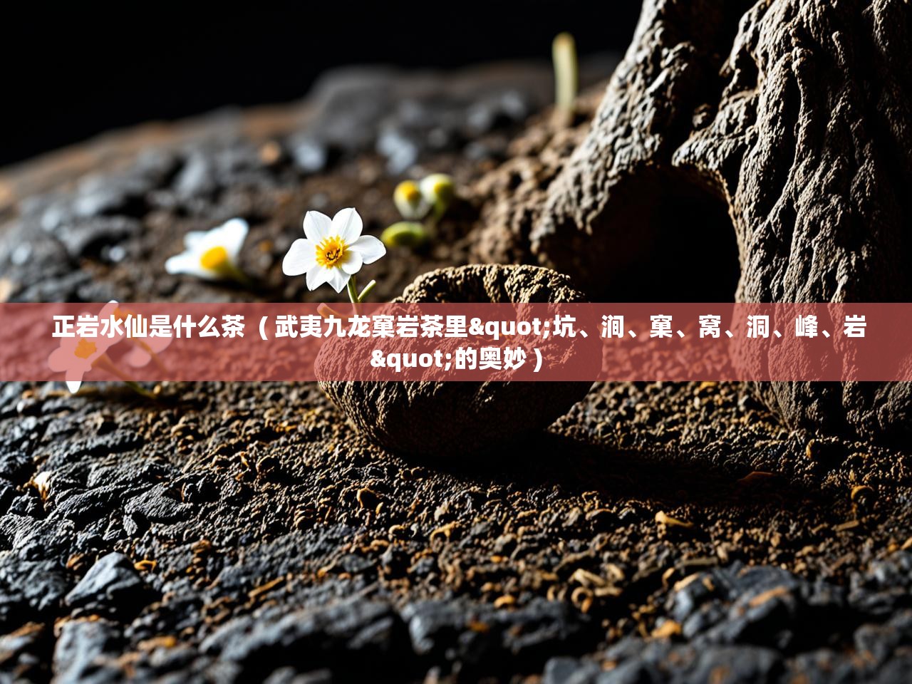  正岩水仙是什么茶  ( 武夷九龙窠岩茶里"坑、涧、窠、窝、洞、峰、岩"的奥妙 )