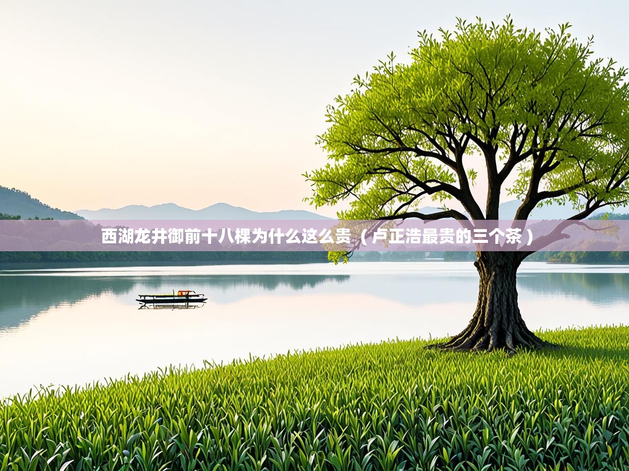 西湖龙井御前十八棵为什么这么贵  ( 卢正浩最贵的三个茶 )