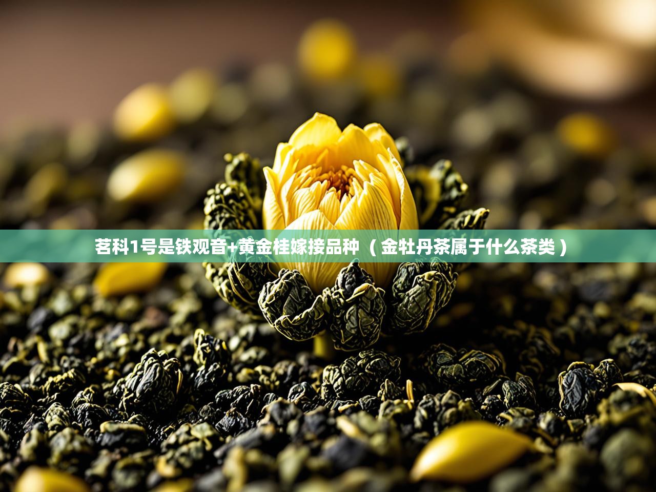  茗科1号是铁观音+黄金桂嫁接品种  ( 金牡丹茶属于什么茶类 )