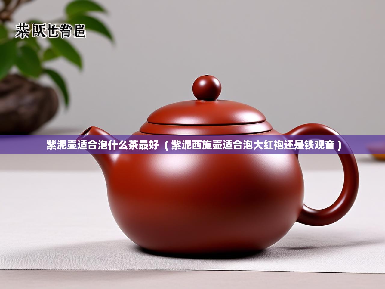  紫泥壶适合泡什么茶最好  ( 紫泥西施壶适合泡大红袍还是铁观音 )