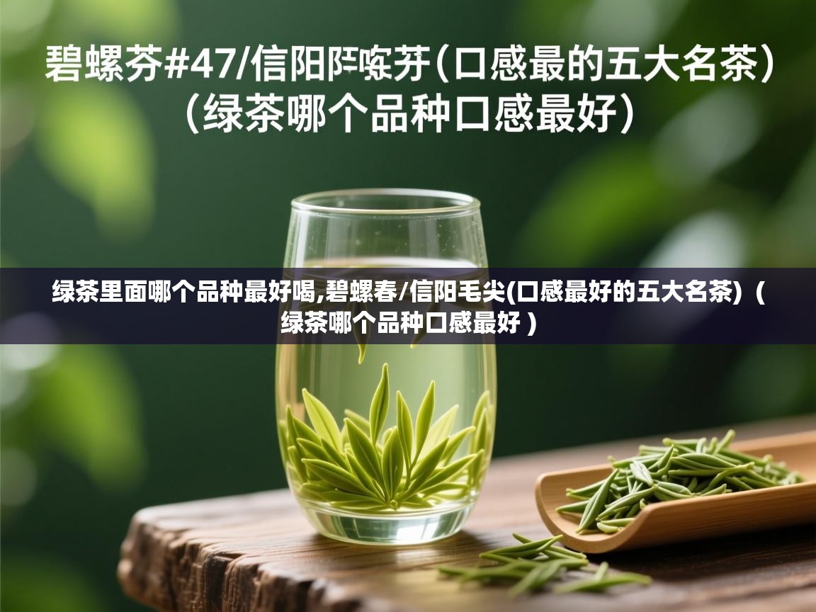  绿茶里面哪个品种最好喝,碧螺春/信阳毛尖(口感最好的五大名茶)  ( 绿茶哪个品种口感最好 )