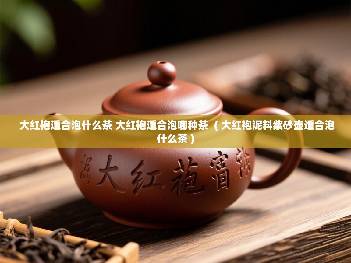  大红袍适合泡什么茶 大红袍适合泡哪种茶  ( 大红袍泥料紫砂壶适合泡什么茶 )