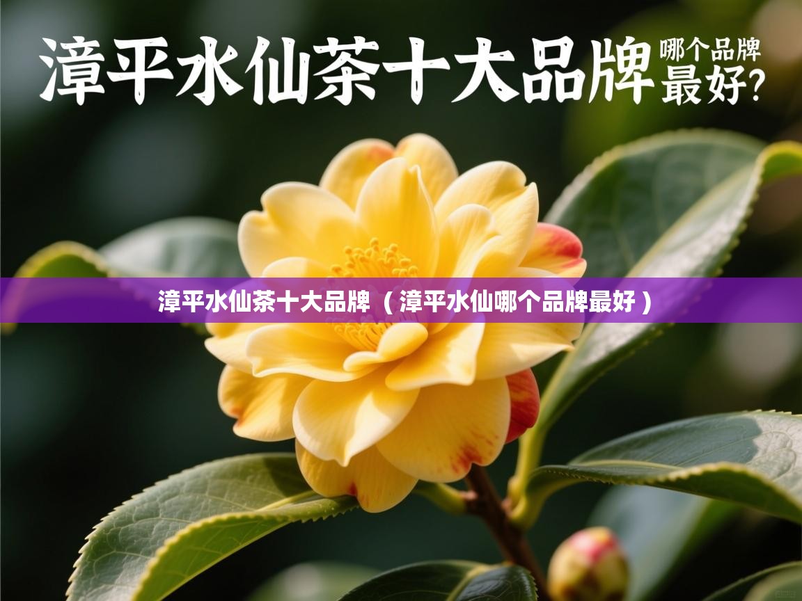  漳平水仙茶十大品牌  ( 漳平水仙哪个品牌最好 )