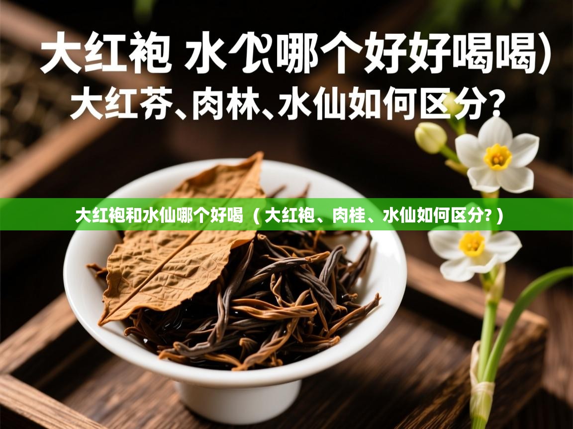大红袍和水仙哪个好喝  ( 大红袍、肉桂、水仙如何区分? )  大红袍和水仙哪个好喝  ( 大红袍、肉桂、水仙如何区分? )
