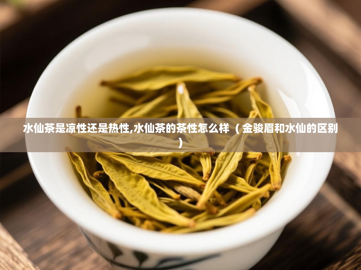 水仙茶是凉性还是热性,水仙茶的茶性怎么样  ( 金骏眉和水仙的区别 )  水仙茶是凉性还是热性,水仙茶的茶性怎么样  ( 金骏眉和水仙的区别 )