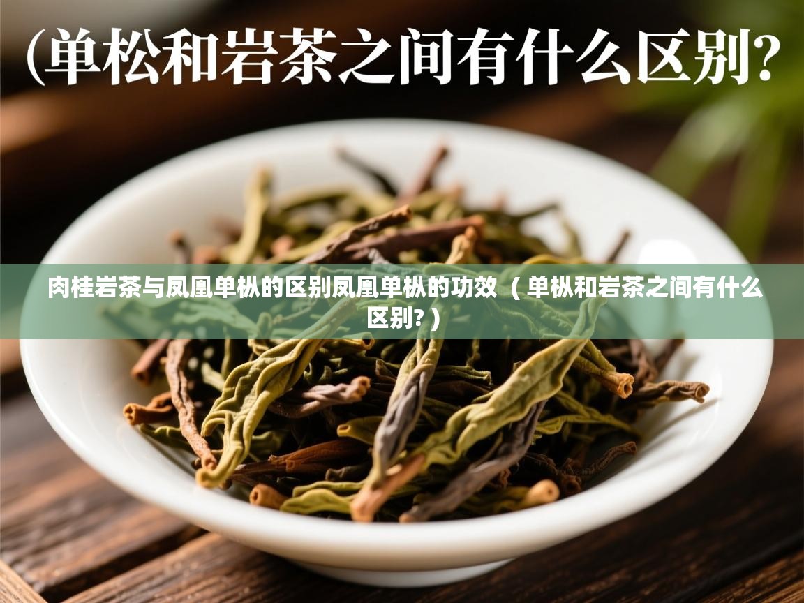 肉桂岩茶与凤凰单枞的区别凤凰单枞的功效  ( 单枞和岩茶之间有什么区别? )  肉桂岩茶与凤凰单枞的区别凤凰单枞的功效  ( 单枞和岩茶之间有什么区别? )