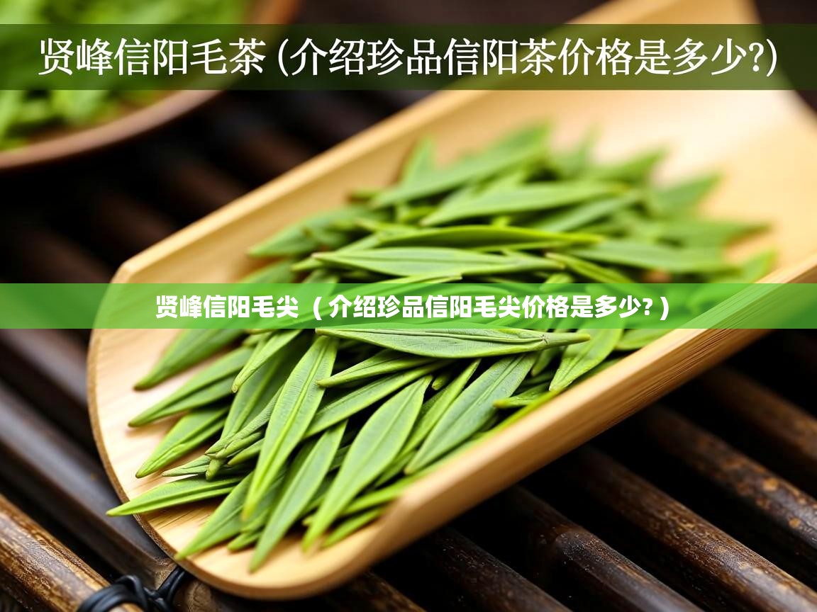  贤峰信阳毛尖  ( 介绍珍品信阳毛尖价格是多少? )