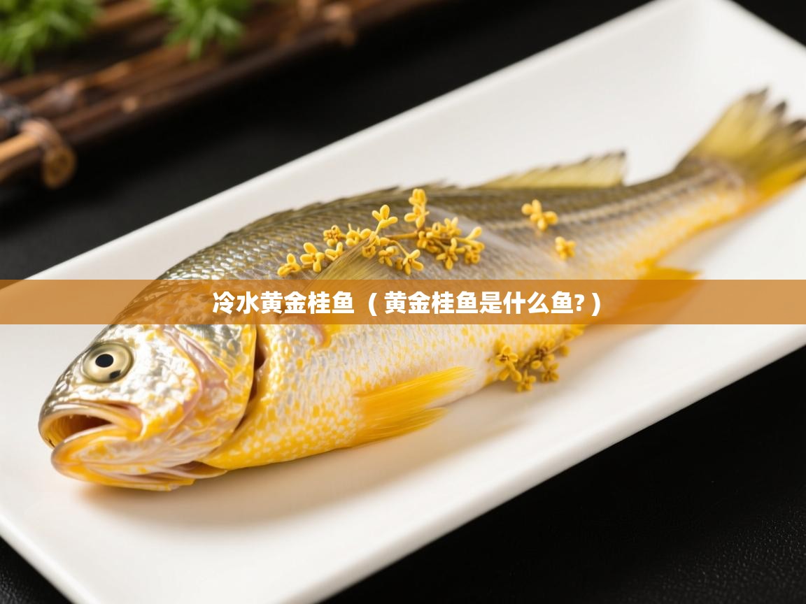  冷水黄金桂鱼  ( 黄金桂鱼是什么鱼? )