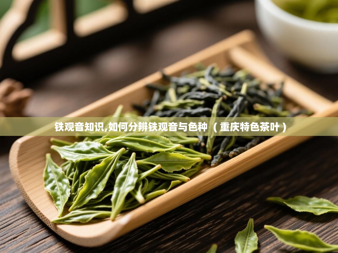 详细阅读: 铁观音知识,如何分辨铁观音与色种  ( 重庆特色茶叶 )  铁观音知识,如何分辨铁观音与色种  ( 重庆特色茶叶 )
