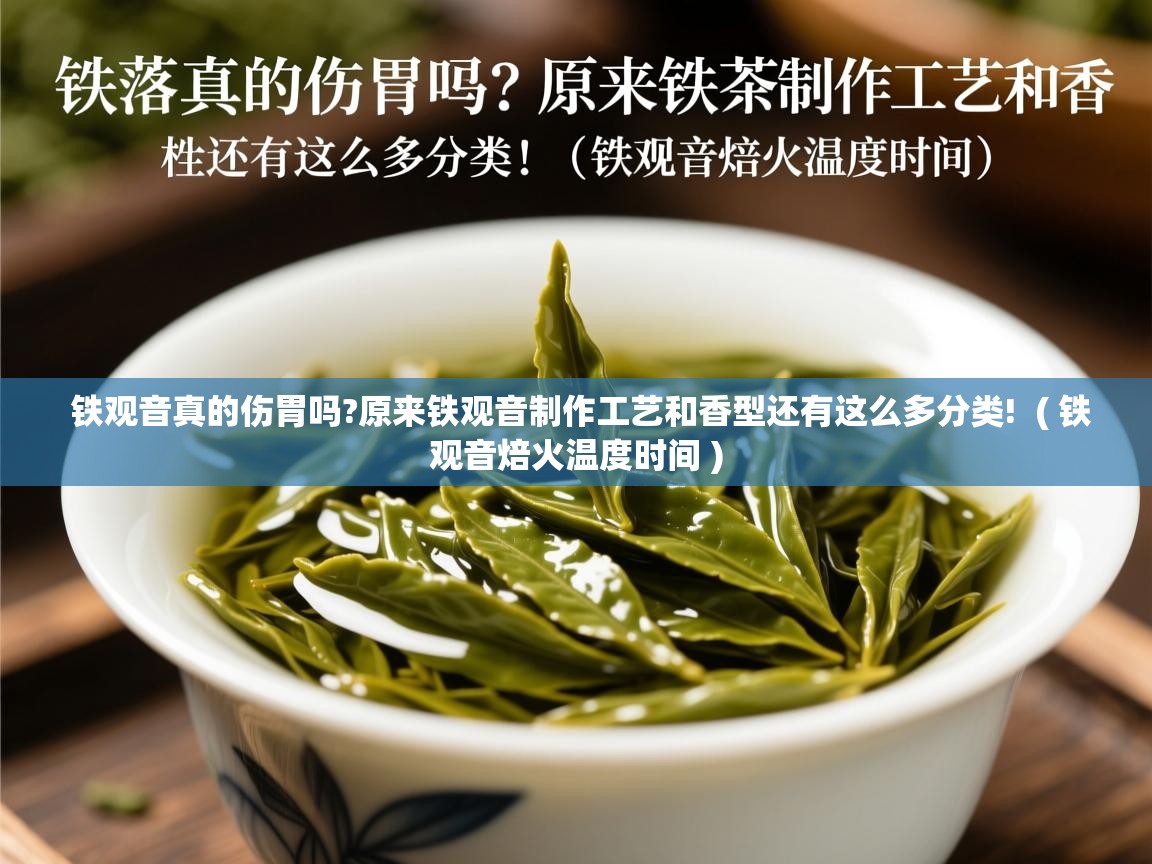 铁观音真的伤胃吗?原来铁观音制作工艺和香型还有这么多分类!  ( 铁观音焙火温度时间 )  铁观音真的伤胃吗?原来铁观音制作工艺和香型还有这么多分类!  ( 铁观音焙火温度时间 )