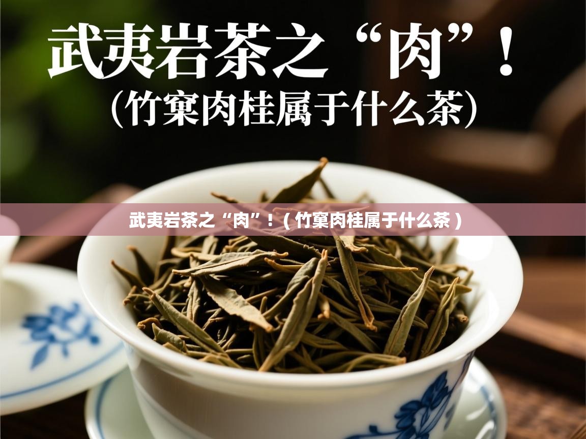  武夷岩茶之“肉”!  ( 竹窠肉桂属于什么茶 )