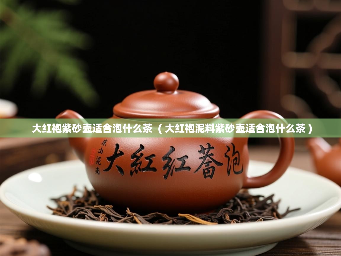  大红袍紫砂壶适合泡什么茶  ( 大红袍泥料紫砂壶适合泡什么茶 )