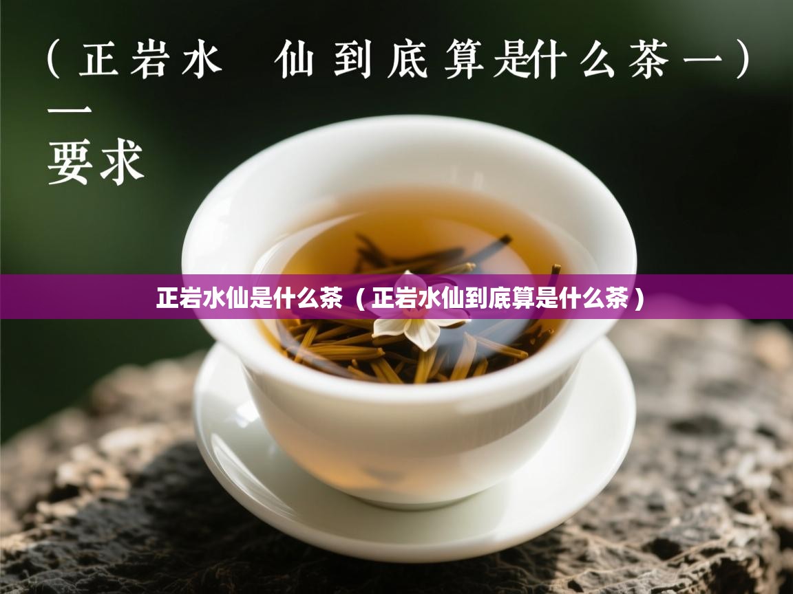 正岩水仙是什么茶  ( 正岩水仙到底算是什么茶 )  正岩水仙是什么茶  ( 正岩水仙到底算是什么茶 )