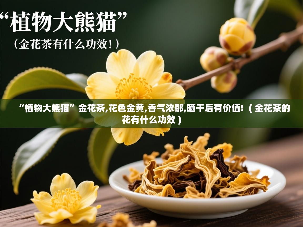  “植物大熊猫”金花茶,花色金黄,香气浓郁,晒干后有价值!  ( 金花茶的花有什么功效 )
