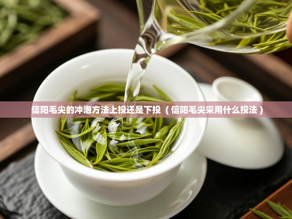  信阳毛尖的冲泡方法上投还是下投  ( 信阳毛尖采用什么投法 )