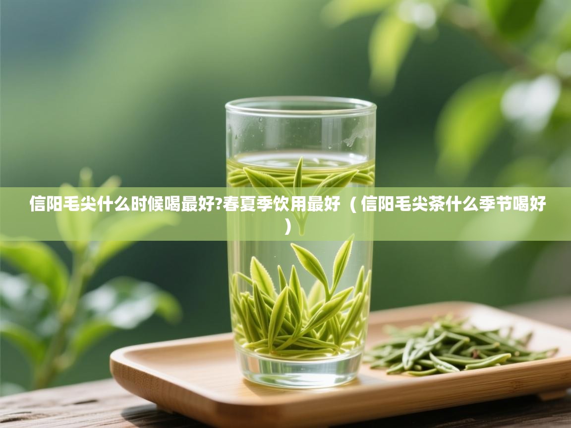  信阳毛尖什么时候喝最好?春夏季饮用最好  ( 信阳毛尖茶什么季节喝好 )