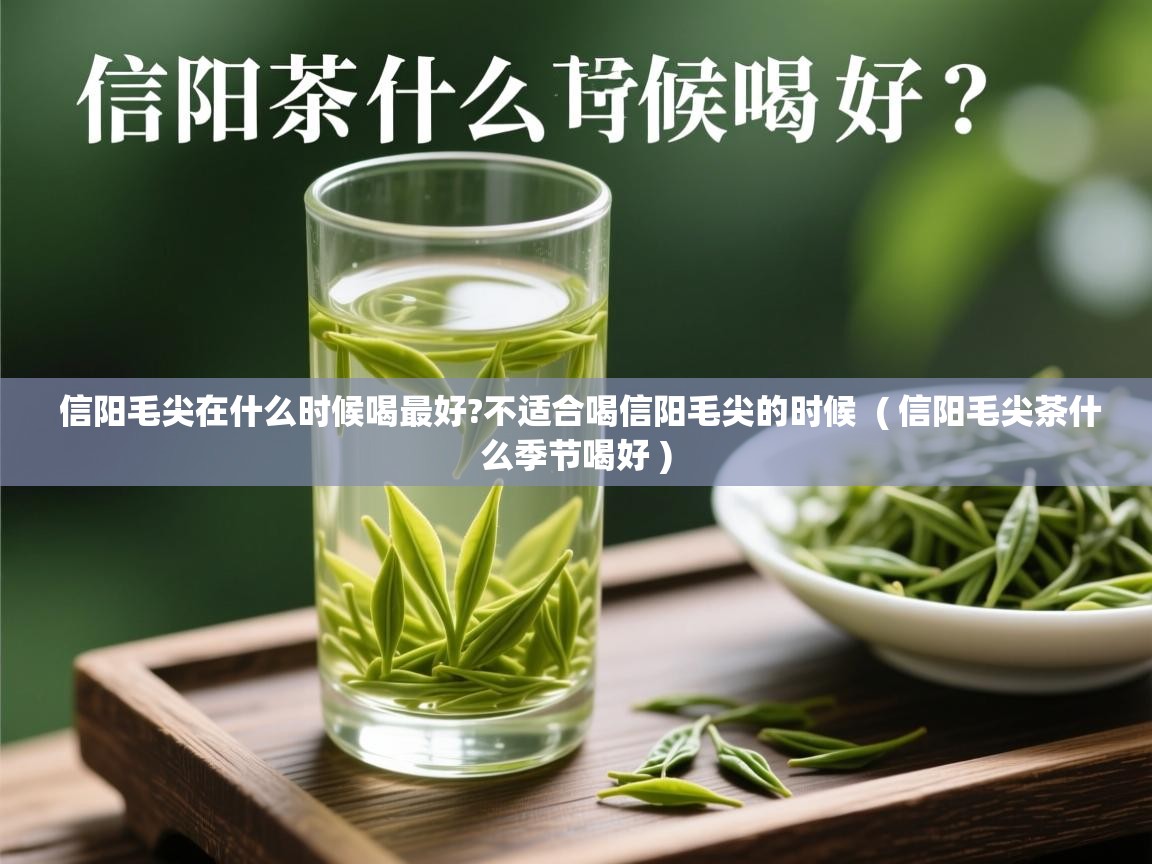  信阳毛尖在什么时候喝最好?不适合喝信阳毛尖的时候  ( 信阳毛尖茶什么季节喝好 )