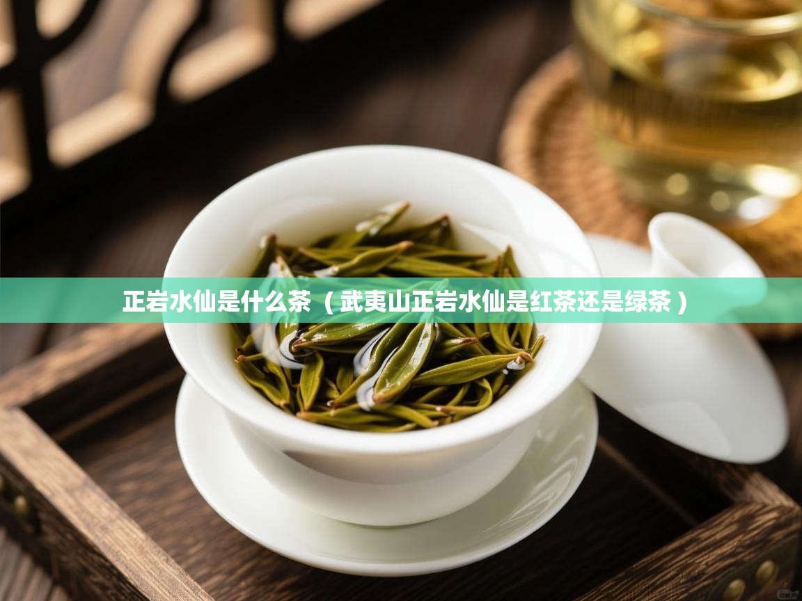 正岩水仙是什么茶  ( 武夷山正岩水仙是红茶还是绿茶 )  正岩水仙是什么茶  ( 武夷山正岩水仙是红茶还是绿茶 )