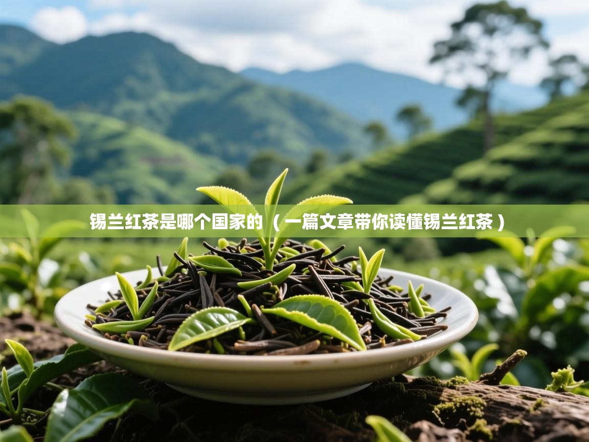 锡兰红茶是哪个国家的  ( 一篇文章带你读懂锡兰红茶 )  锡兰红茶是哪个国家的  ( 一篇文章带你读懂锡兰红茶 )