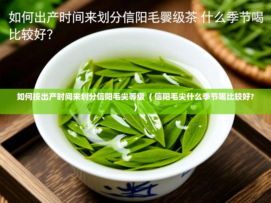  如何按出产时间来划分信阳毛尖等级  ( 信阳毛尖什么季节喝比较好? )