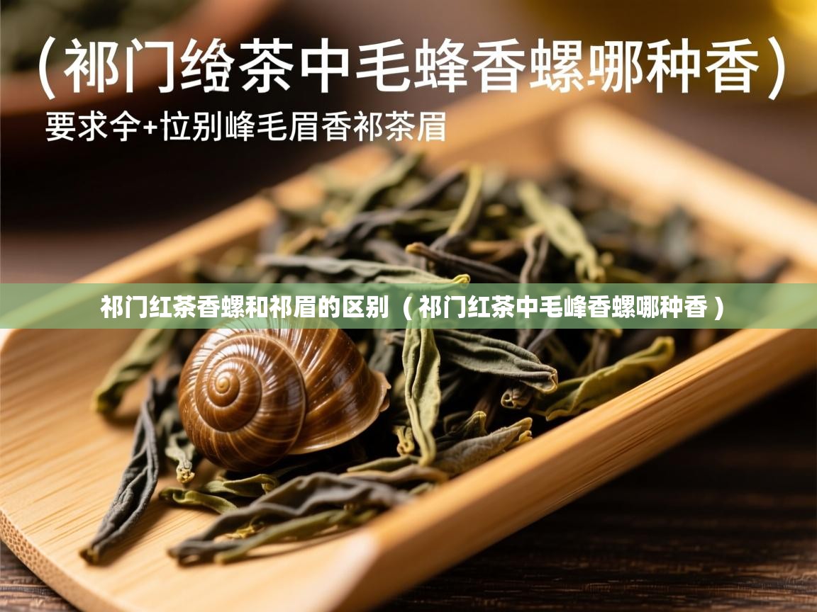 祁门红茶香螺和祁眉的区别  ( 祁门红茶中毛峰香螺哪种香 )  祁门红茶香螺和祁眉的区别  ( 祁门红茶中毛峰香螺哪种香 )