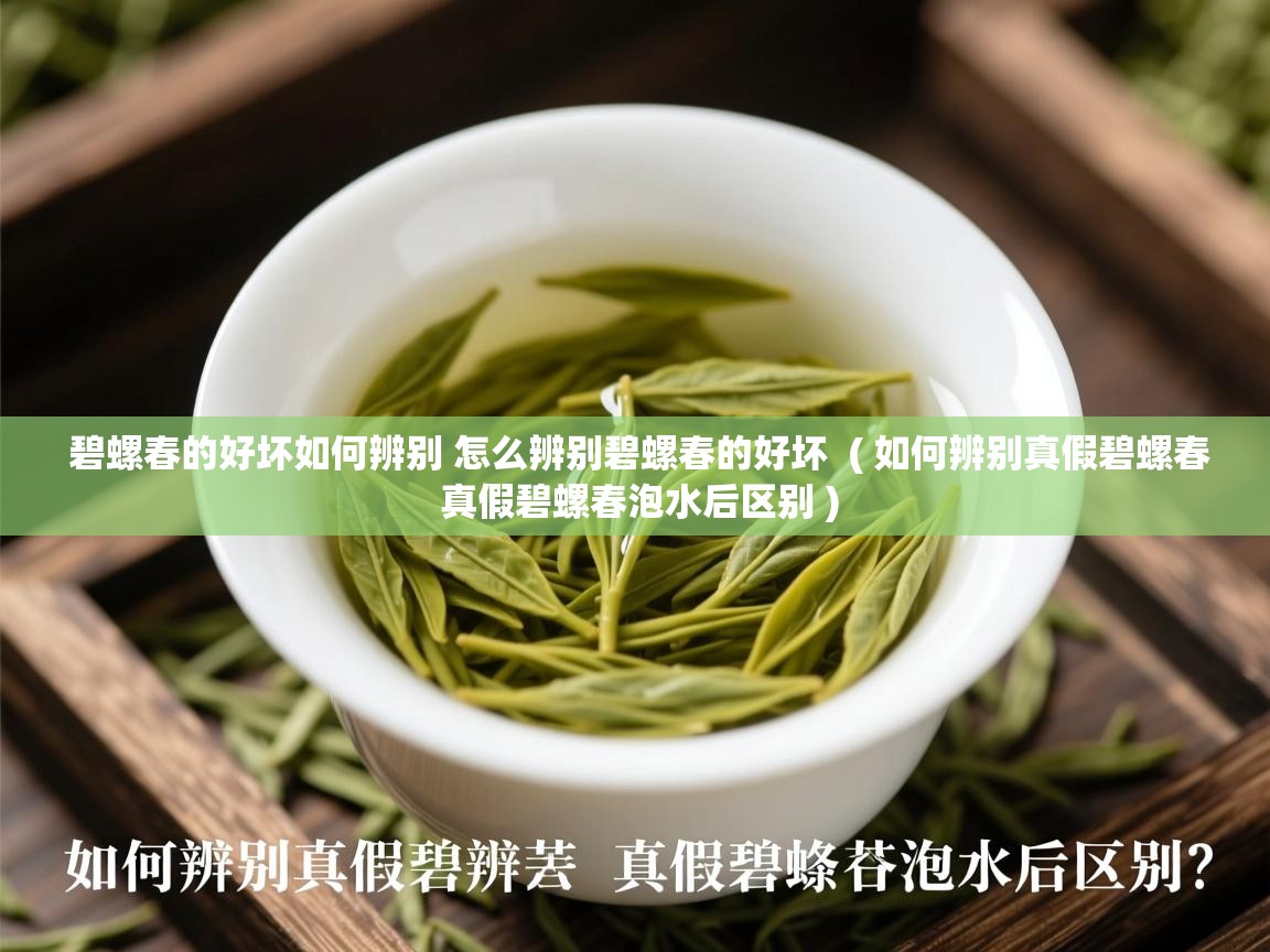 详细阅读: 碧螺春的好坏如何辨别 怎么辨别碧螺春的好坏  ( 如何辨别真假碧螺春 真假碧螺春泡水后区别 )  碧螺春的好坏如何辨别 怎么辨别碧螺春的好坏  ( 如何辨别真假碧螺春 真假碧螺春泡水后区别 )