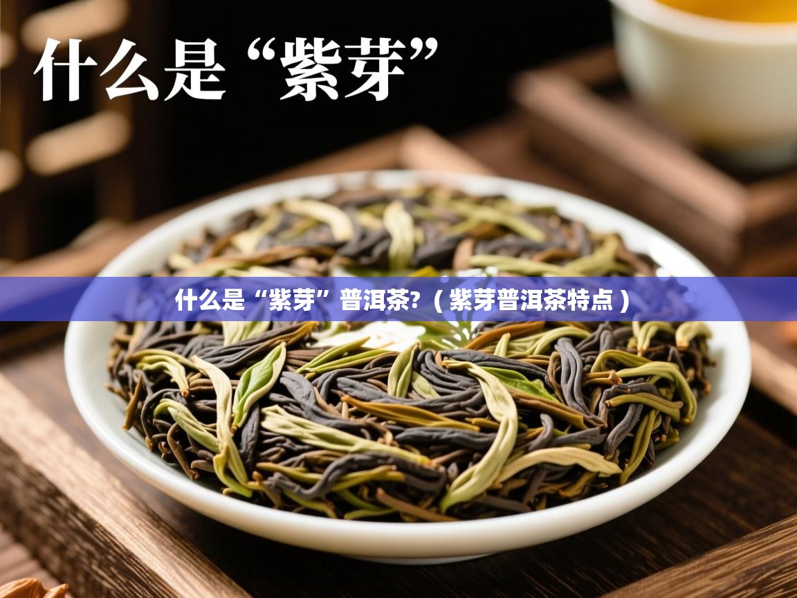 详细阅读: 什么是“紫芽”普洱茶?  ( 紫芽普洱茶特点 )  什么是“紫芽”普洱茶?  ( 紫芽普洱茶特点 )