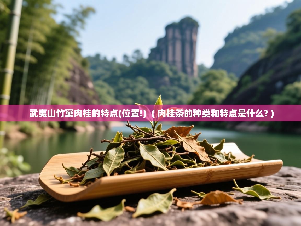  武夷山竹窠肉桂的特点(位置!)  ( 肉桂茶的种类和特点是什么? )