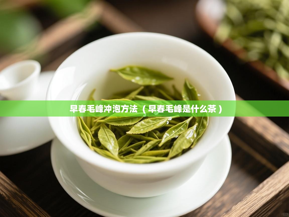 早春毛峰冲泡方法  ( 早春毛峰是什么茶 )  早春毛峰冲泡方法  ( 早春毛峰是什么茶 )