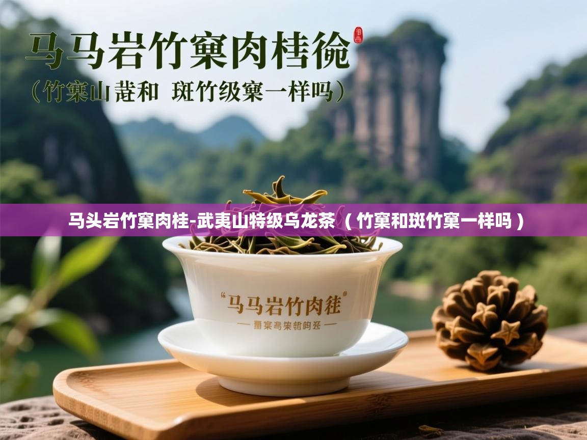 马头岩竹窠肉桂-武夷山特级乌龙茶  ( 竹窠和斑竹窠一样吗 )  马头岩竹窠肉桂-武夷山特级乌龙茶  ( 竹窠和斑竹窠一样吗 )