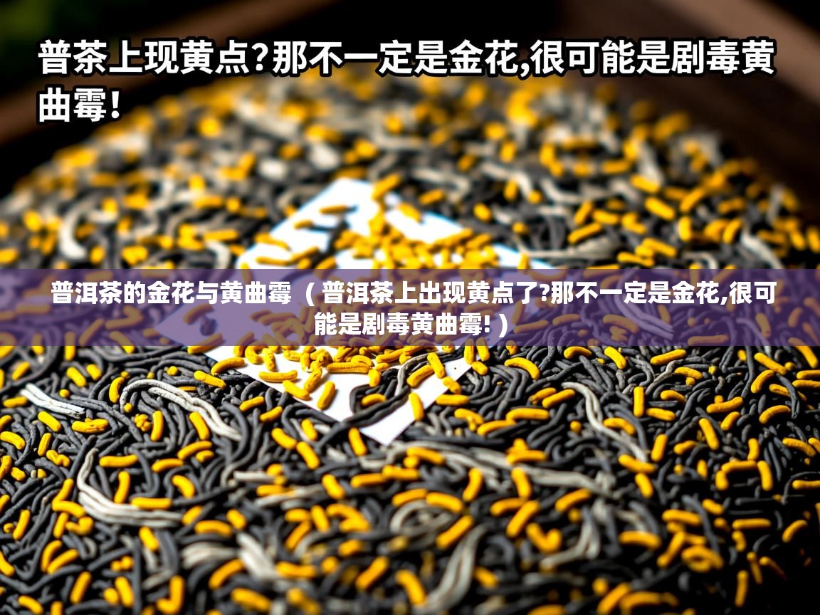 普洱茶的金花与黄曲霉  ( 普洱茶上出现黄点了?那不一定是金花,很可能是剧毒黄曲霉! )  普洱茶的金花与黄曲霉  ( 普洱茶上出现黄点了?那不一定是金花,很可能是剧毒黄曲霉! )