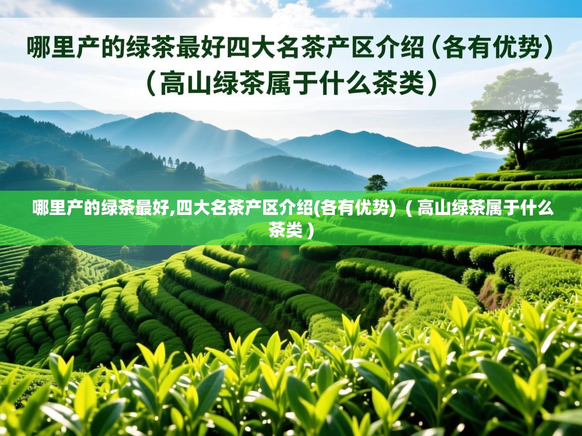 哪里产的绿茶最好,四大名茶产区介绍(各有优势)  ( 高山绿茶属于什么茶类 )  哪里产的绿茶最好,四大名茶产区介绍(各有优势)  ( 高山绿茶属于什么茶类 )