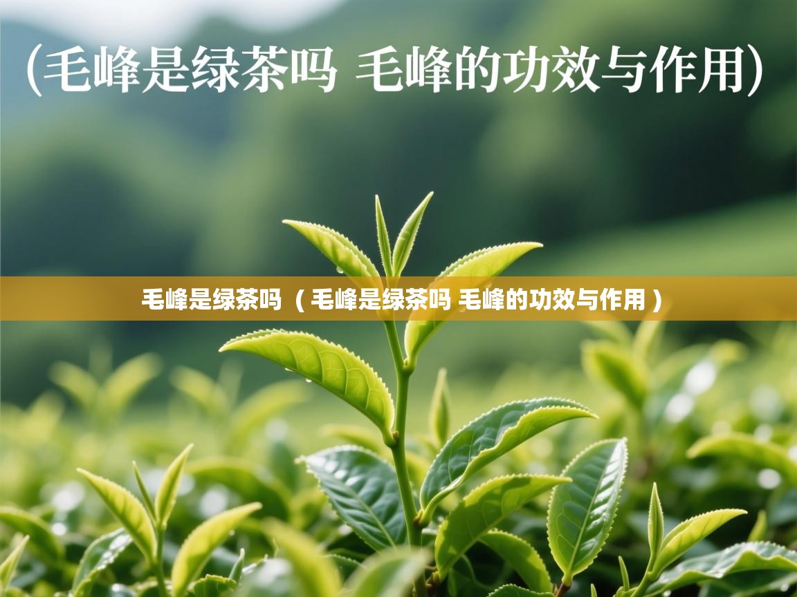 毛峰是绿茶吗  ( 毛峰是绿茶吗 毛峰的功效与作用 )  毛峰是绿茶吗  ( 毛峰是绿茶吗 毛峰的功效与作用 )