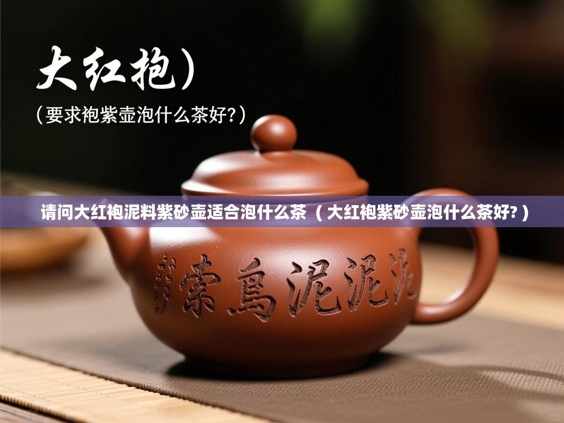  请问大红袍泥料紫砂壶适合泡什么茶  ( 大红袍紫砂壶泡什么茶好? )