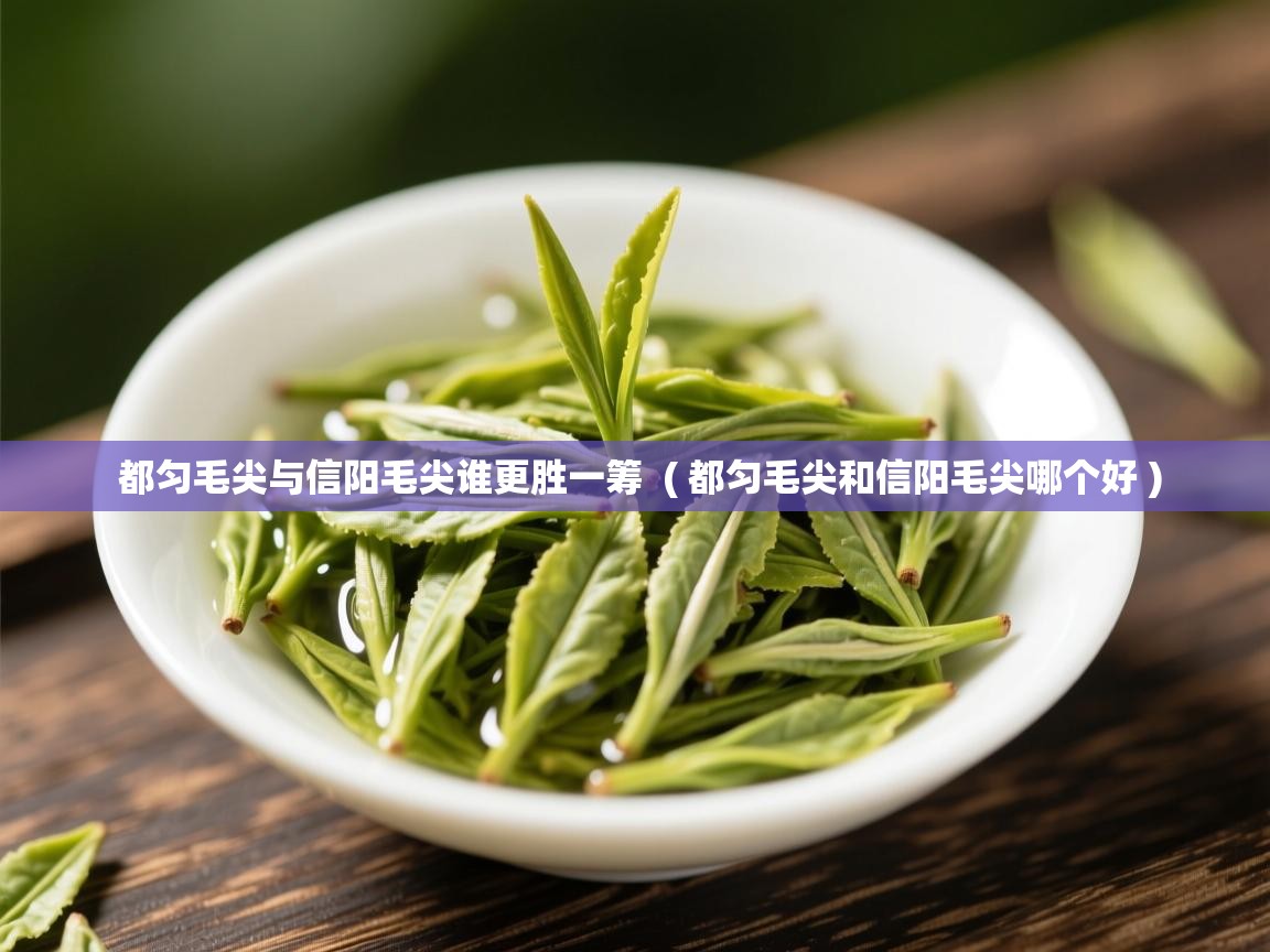 都匀毛尖与信阳毛尖谁更胜一筹  ( 都匀毛尖和信阳毛尖哪个好 )  都匀毛尖与信阳毛尖谁更胜一筹  ( 都匀毛尖和信阳毛尖哪个好 )