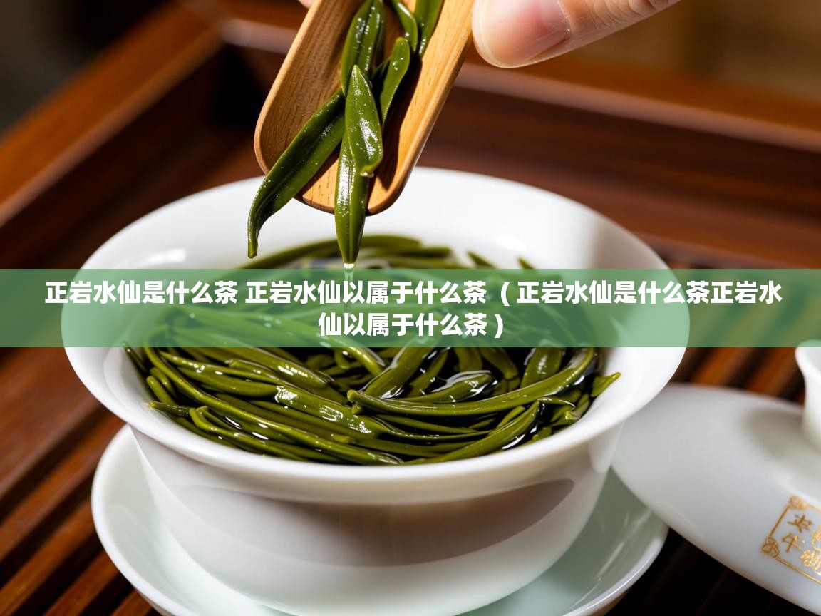正岩水仙是什么茶 正岩水仙以属于什么茶  ( 正岩水仙是什么茶正岩水仙以属于什么茶 )  正岩水仙是什么茶 正岩水仙以属于什么茶  ( 正岩水仙是什么茶正岩水仙以属于什么茶 )