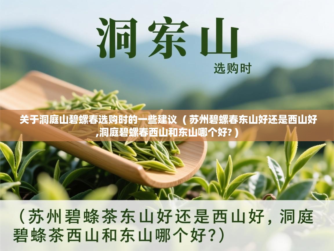 关于洞庭山碧螺春选购时的一些建议  ( 苏州碧螺春东山好还是西山好,洞庭碧螺春西山和东山哪个好? )  关于洞庭山碧螺春选购时的一些建议  ( 苏州碧螺春东山好还是西山好,洞庭碧螺春西山和东山哪个好? )
