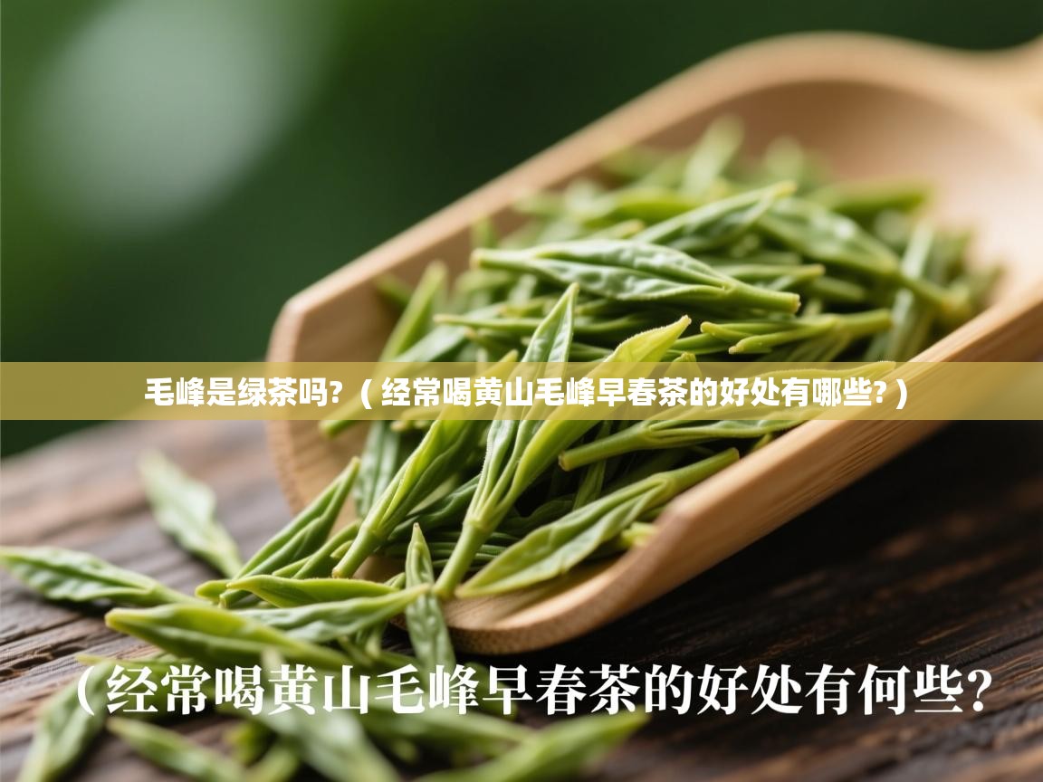 毛峰是绿茶吗?  ( 经常喝黄山毛峰早春茶的好处有哪些? )  毛峰是绿茶吗?  ( 经常喝黄山毛峰早春茶的好处有哪些? )