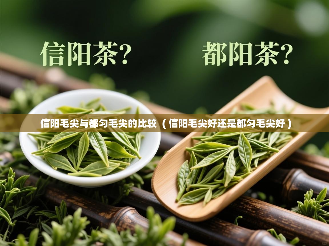 信阳毛尖与都匀毛尖的比较  ( 信阳毛尖好还是都匀毛尖好 )  信阳毛尖与都匀毛尖的比较  ( 信阳毛尖好还是都匀毛尖好 )
