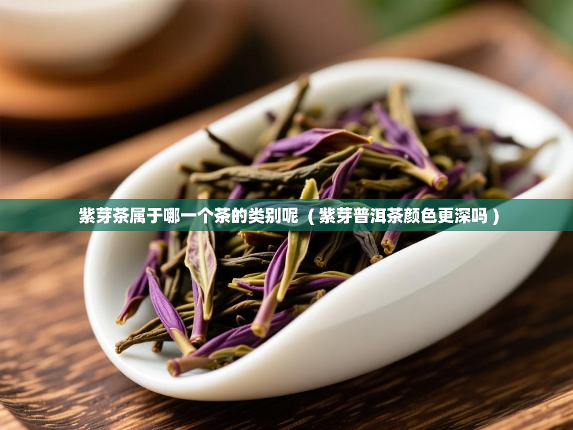紫芽茶属于哪一个茶的类别呢  ( 紫芽普洱茶颜色更深吗 )  紫芽茶属于哪一个茶的类别呢  ( 紫芽普洱茶颜色更深吗 )