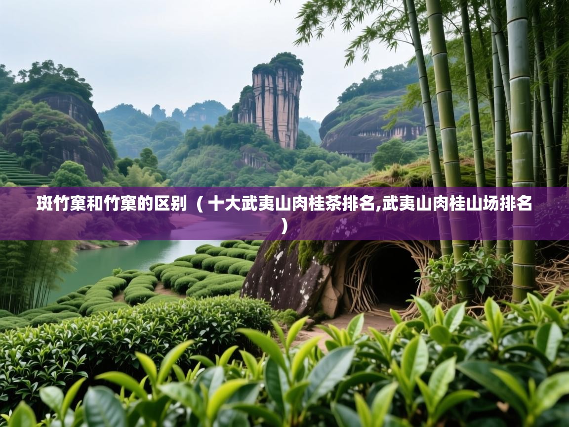  斑竹窠和竹窠的区别  ( 十大武夷山肉桂茶排名,武夷山肉桂山场排名 )