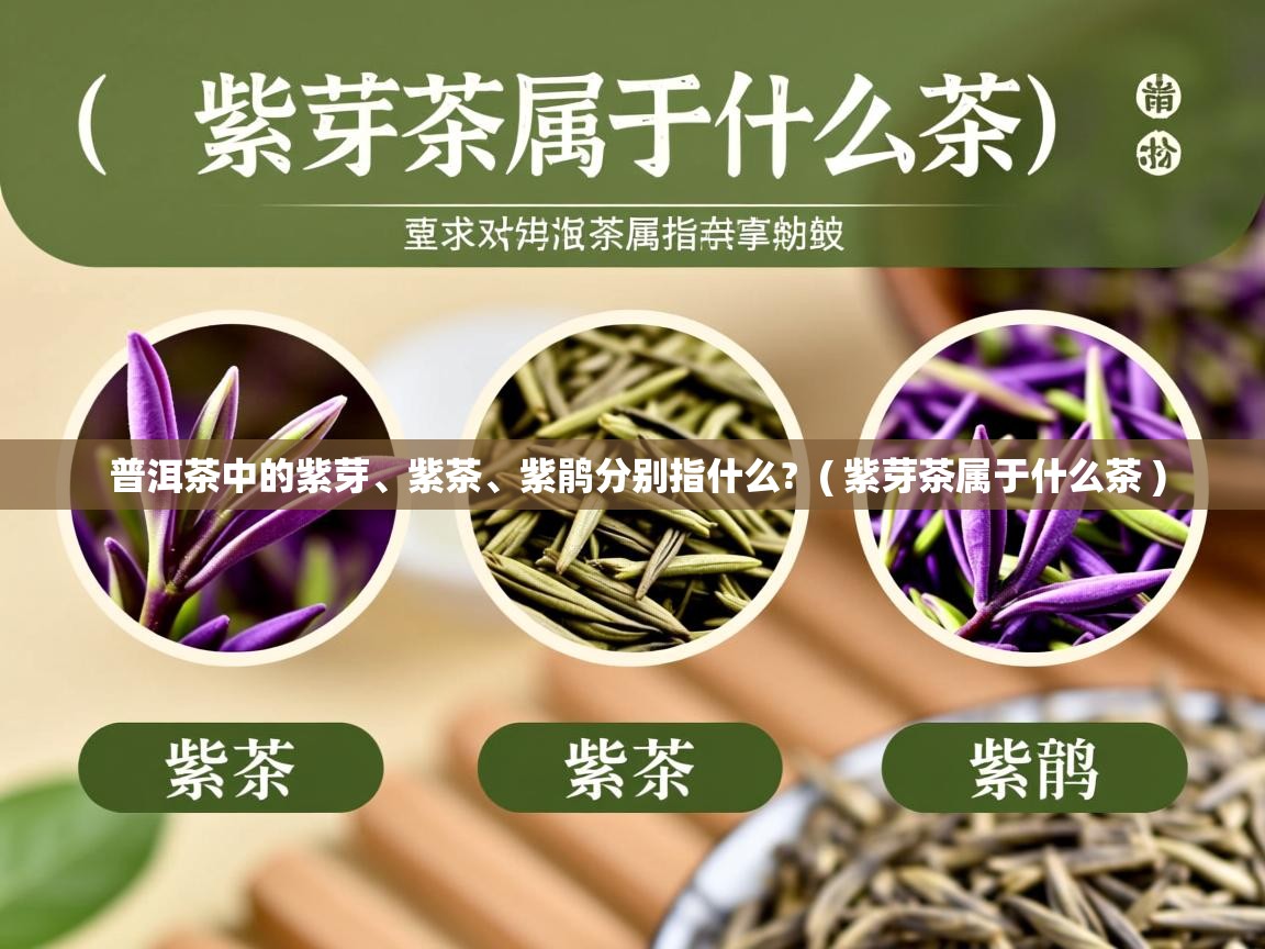 详细阅读: 普洱茶中的紫芽、紫茶、紫鹃分别指什么?  ( 紫芽茶属于什么茶 )  普洱茶中的紫芽、紫茶、紫鹃分别指什么?  ( 紫芽茶属于什么茶 )