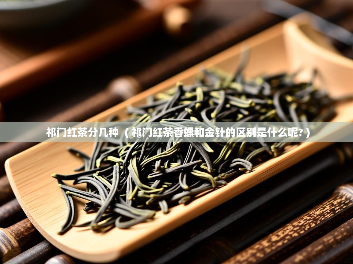 祁门红茶分几种  ( 祁门红茶香螺和金针的区别是什么呢? )  祁门红茶分几种  ( 祁门红茶香螺和金针的区别是什么呢? )