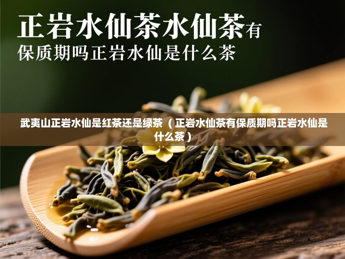 武夷山正岩水仙是红茶还是绿茶  ( 正岩水仙茶有保质期吗正岩水仙是什么茶 )  武夷山正岩水仙是红茶还是绿茶  ( 正岩水仙茶有保质期吗正岩水仙是什么茶 )